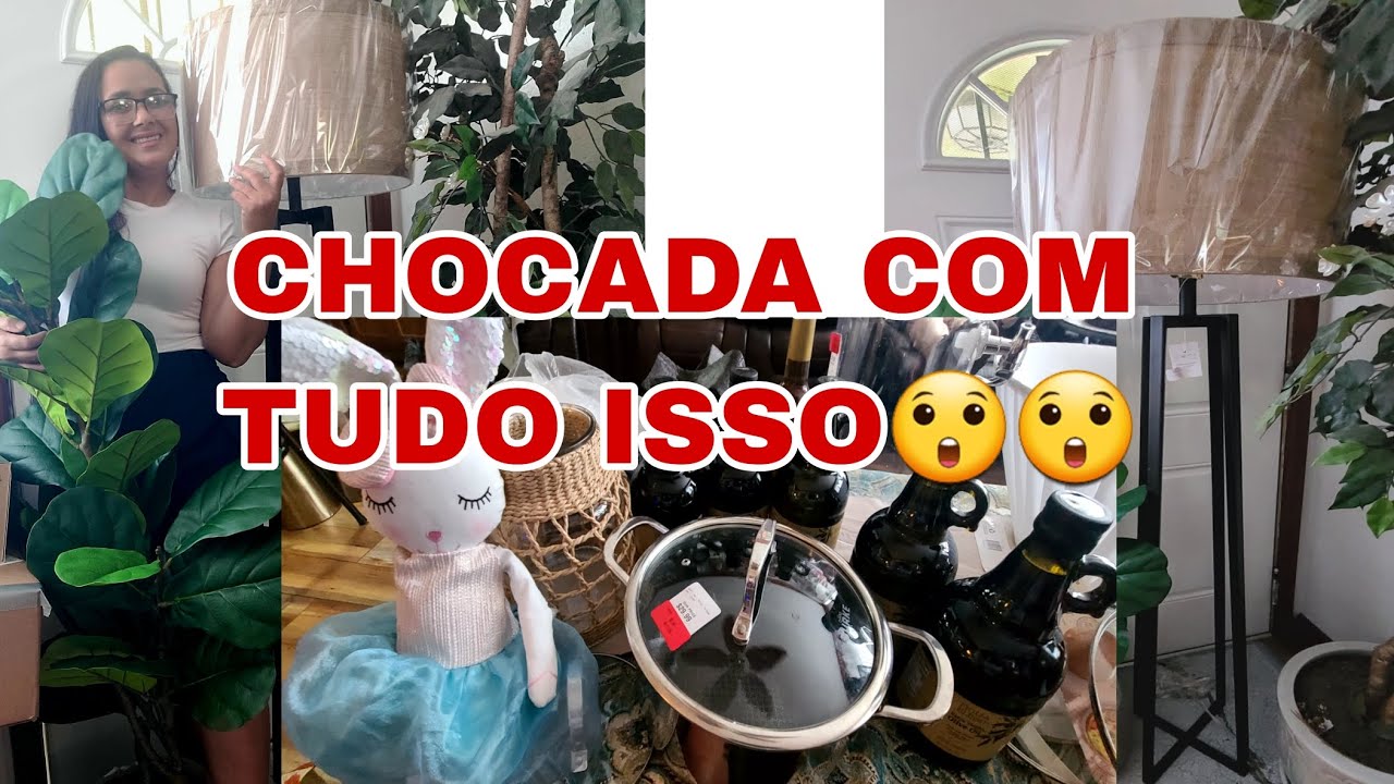 Vem ver as coisas lindas que estava no DUMPSTER!!!