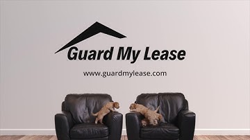 Entry Condition Report 2.0 - How to Reduce time and stress