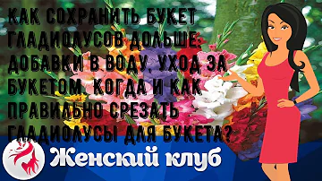 Как сохранить букет гладиолусов дольше: добавки в воду, уход за букетом. Когда и как правильно сре.
