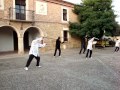 tai-chi espada Cheng Man-Ching