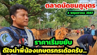 เวียดนามบุกหนัก ราคาเริ่มขยับ 4 พ.ค.67 ตลาดนัดชมภูบุตร จ.ร้อยเอ็ด ดีใจนำพี่น้องเกษตรกรเด้อครับ...!