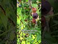 Mom Vs Nature ЁЯдгЁЯШйЁЯШн Short Funny Fyp Parati Foryou Vlog Nature Relatable Relatablemom Viral Nyc Mom Vs Nature ЁЯдгЁЯШйЁЯШн Short Funny Fyp Parati Foryou Vlog Nature Relatable Relatablemom Viral Nyc