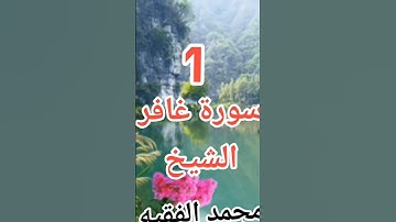 #قران_كريم #سورةغافر#الشيخ محمد الفقيه #تلاوة_خاشعة