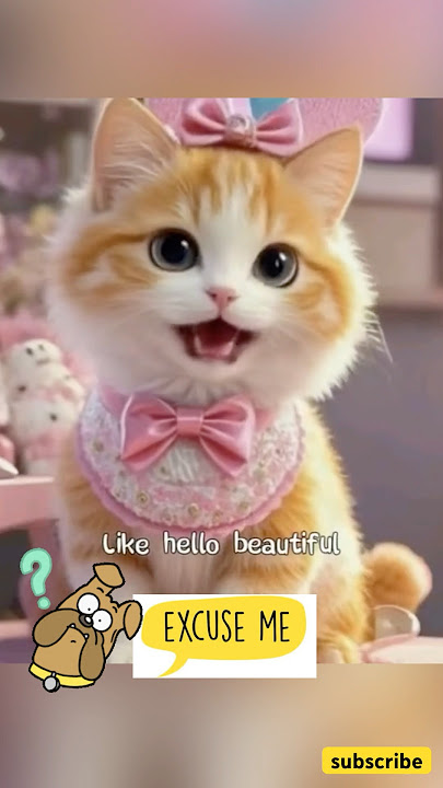I wake up everyday like hello beautiful 😻 ♥️ #cat #catvideos #cute #kitty #lipsyncs  #cute #shorts