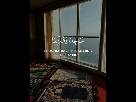 قل هل يستوي الذين يعلمون والذين لا يعلمون تلاوة بصوت الشيخ ياسر الدوسري Shorts