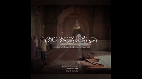 حالات واتس اب قران كريم  🎧❤️ // يا ايها الذين امنوا توبوا إلى الله توبة نصوحا// القارئ شريف مصطفى 💙