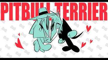 PITBULL TERRIER / animation meme [SPY vs SPY]