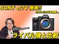 【比較】SONY α7V 発表！ライバル機と比較してみたら...このカメラやばい