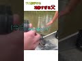 ワニ相手でも冷静すぎる父