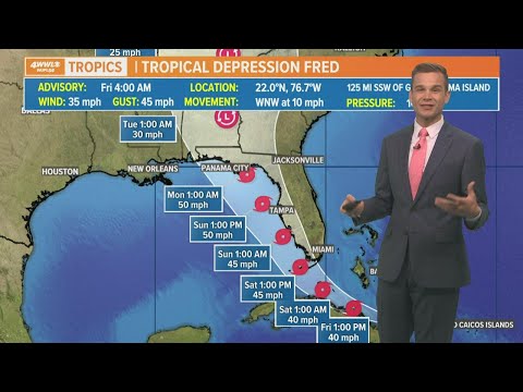 Tropical Depression Fred: