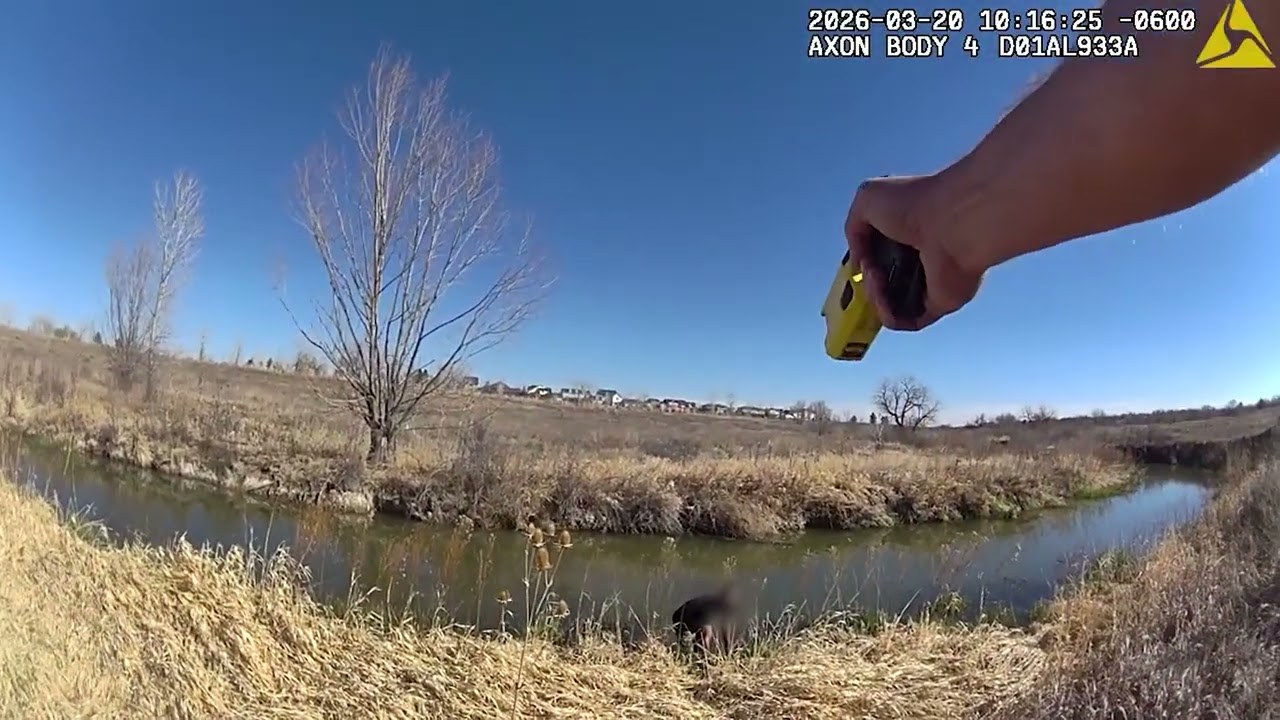 Driver takes off during traffic stop, runs into creek