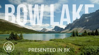 Summer Serenity: Bow Lake's Breathtaking Beauty in Banff National Park | Presented in 8K