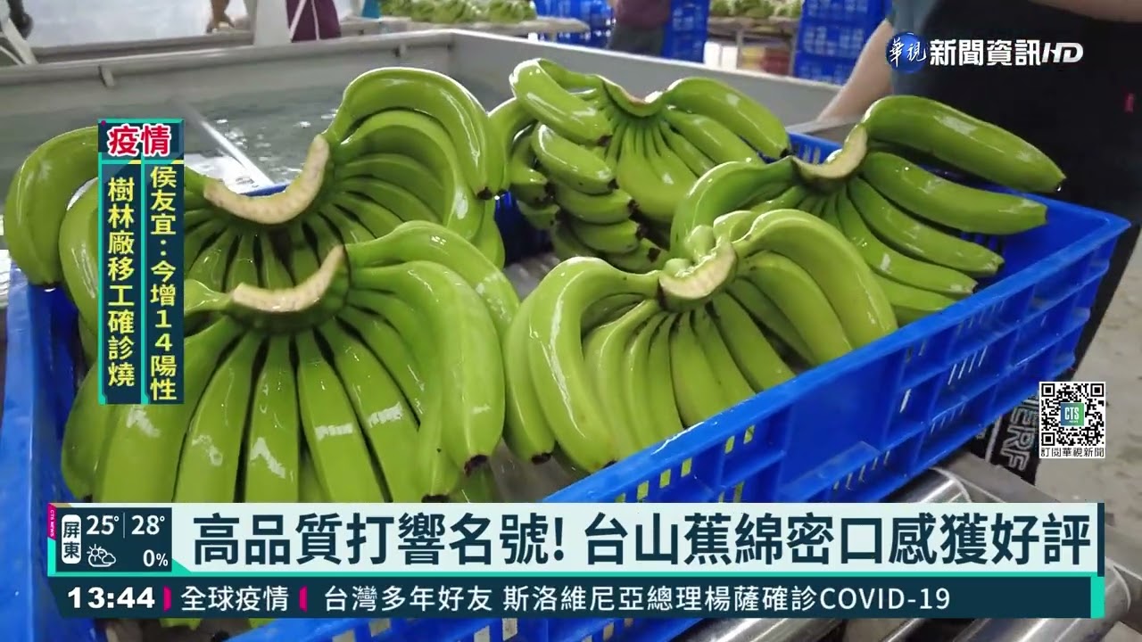 台灣山蕉日本發光! 3根要價近百元台幣｜華視新聞20220210 - YouTube