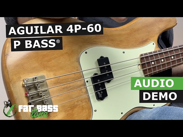 Aguilar 4P-60 Precision Bass® Pickup Set Demo - YouTube