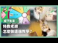 【#P觀點】停課不停學？疫情之下特教老師怎麼上遠端課