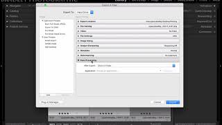How To Export DNG's from LIghtroom
