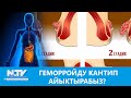 NewTV// ГЕМОРРОЙДУ КАНТИП АЙЫКТЫРАБЫЗ? // ДАБАГЕР