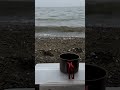 波がつくるゆるやかな揺れ