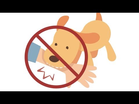 Vídeo: Donos de cachorros: Jogue Pokémon Go e arrecade dinheiro para abrigos
