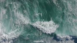 Hozier - Why Would You Be Loved (slowed + reverb)