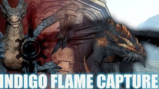 Indigo Flame - Video Of Capture - Dragons Prophet