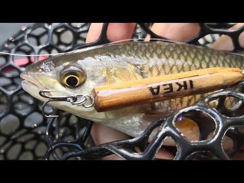 Pesco con una matita dell'ikea. guardate il video completo! 🌝❤ #pesca #fishing #spinning
