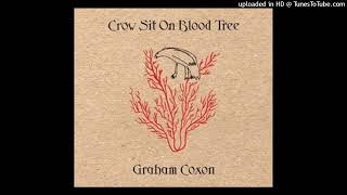 07. Tired - Graham Coxon - Crow Sit On Blood Tree