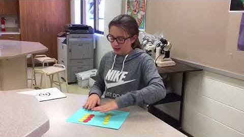 Integer chips with Mikayla 5th period 2017