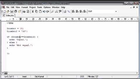PHP Basics_ Triple Equals