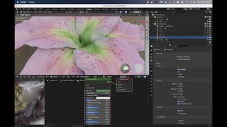 Vanitas Exercise 4: Procedural Lily Flowers
