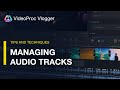 Multiple Audio Tracks in VideoProc Vlogger| How to manage, edit and MORE