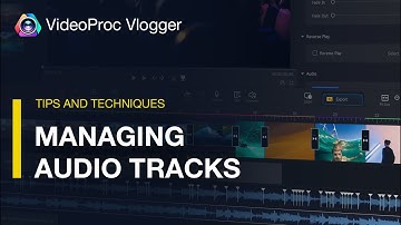 Multiple Audio Tracks in VideoProc Vlogger| How to manage, edit and MORE