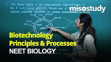 NEET Biology | Recombinant DNA Technology | Theory & Problem Solving | In English | Misostudy