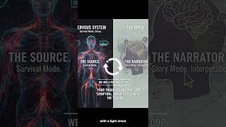 Mind and body  #NervousSystemRegulation  #MentalHealthTips #MindBodyConnection #SelfAwareness