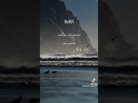 Who Is Momin Love Explore Nasheed Islam Allah Hazratmuhammadsaw