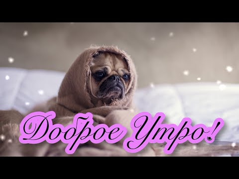 🌲🌲🌲ДОБРОЕ УТРО И ХОРОШЕГО ДНЯ!🌲🌲🌲