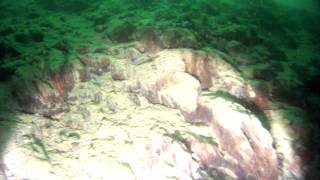 20160501(1)