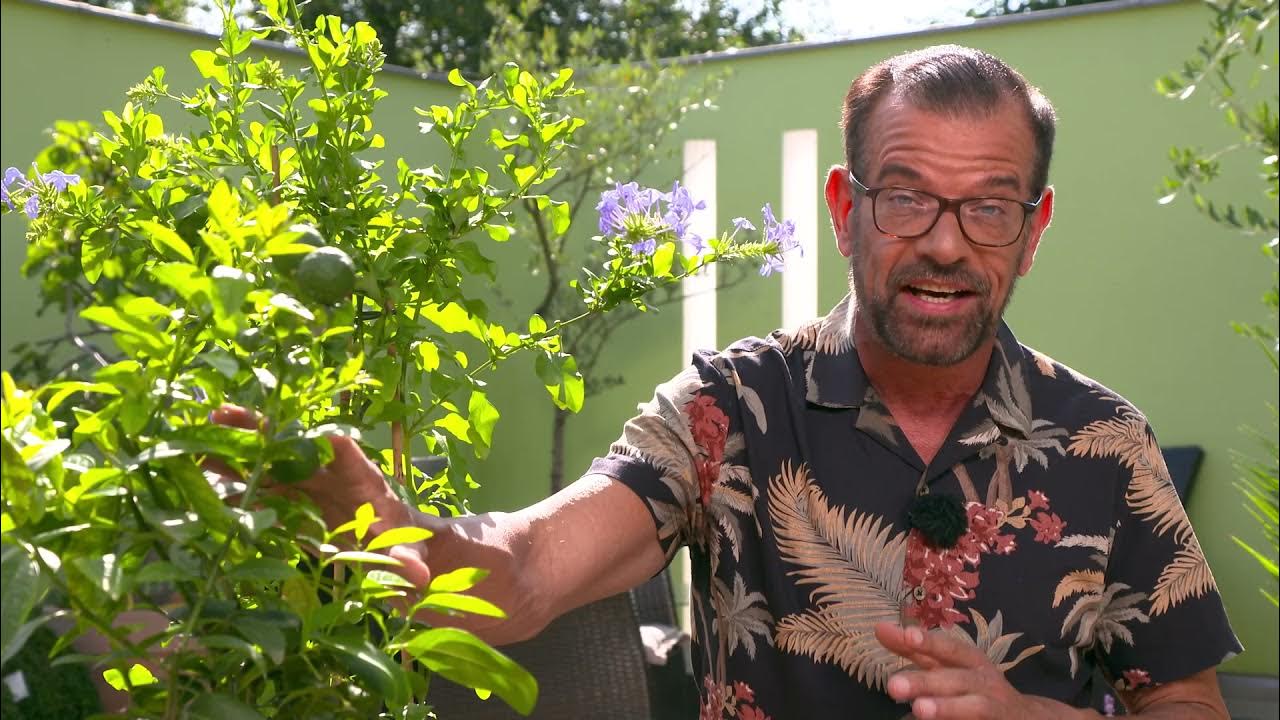 ORF "Natur im Garten" Sendung vom 17. Oktober 2021 YouTube