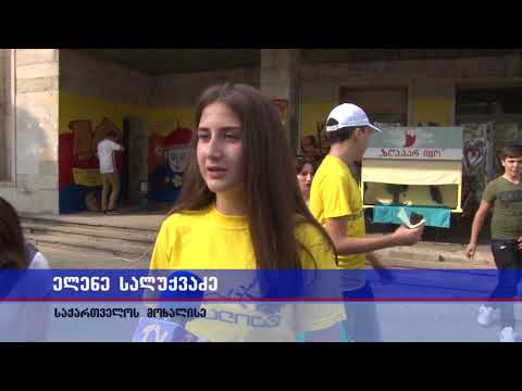 სტუდენტურ ახალგაზრდული სათათბიროს ინიციატივით მოხალისეებმა  მრავალფეროვანი ღონისძიება წარმოადგინეს