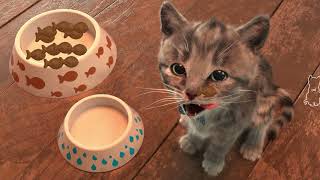 Little Kitten My Favorite Cat Pet Care Adventure Games Care - A cute pet friend sim screenshot 2
