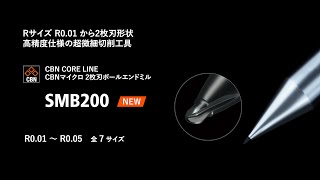 CBNマイクロ2枚刃ボールエンドミル