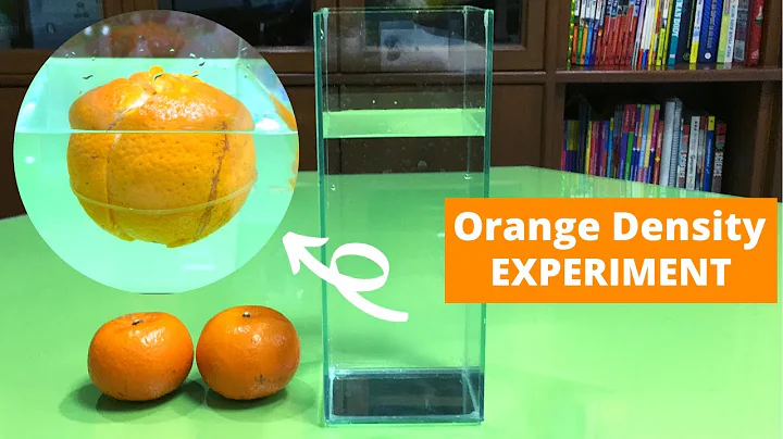 Does an Orange Float or Sink? | Orange Density Experiment | Float or Sink Experiment with Oranges |