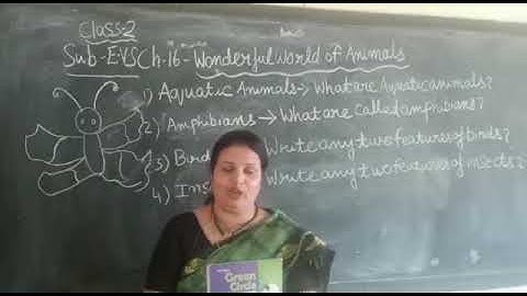 Date- (12/02/21) Class 2, EVS- Ch- 16 Wonderful World of Animals (Part-2)