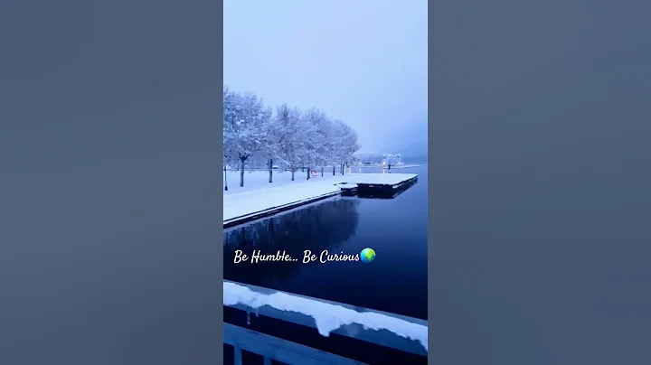 Be Humble, Be Curious, Be wise✨.      #motivation #wisdom #meditation #psychology #truth #awareness