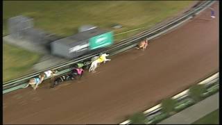 MEA SAT 15 JUL 17 R7