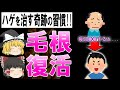 【ゆっくり解説】毎日●●するだけ?!薄い頭の毛根が回復する奇跡の習慣5選を完全解説