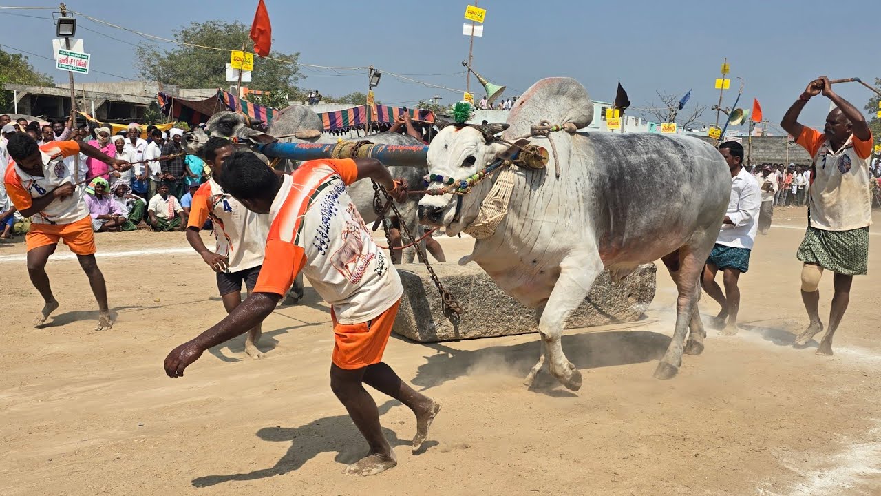 3 3 బొరెడ్డి కేశవరెడ్డి పెద్దకోటాల సుంకి సురేందర్ రెడ్డి(A.S.P.)హుజుర్నగర్(🦁వీరనారసింహరెడ్డి&&జూనియ