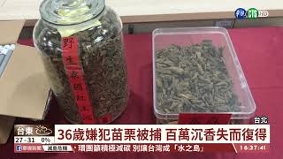 【台語新聞】3分鐘偷走141萬沉香 36歲嫌苗栗被捕 | 華視新聞 20200824