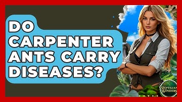 Do Carpenter Ants Carry Diseases? - Reptilian Wonders