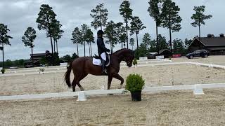 Zenith Denali | Training Level Test 1 | 73.65%